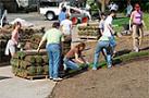 People Working At Farm